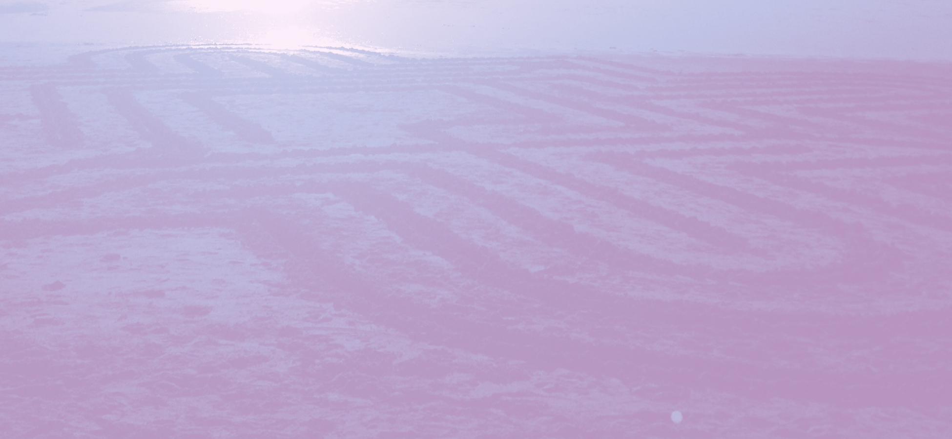 Purple shaded photo of a beach labyrinth at sunset created by and photo taken by OB Horak on a Santa Monica Beach in California.
