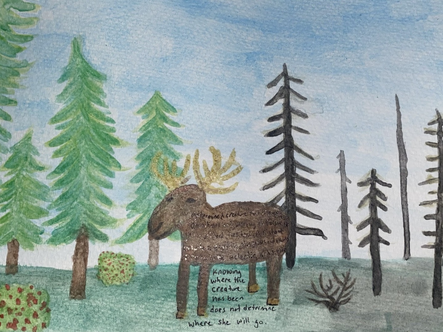 A watercolor painting of a moose standing in a forest. Words from a poem are written across the moose’s body. One side of the forest is green and growing, while the other side shows signs of recent fire with new growth beginning.